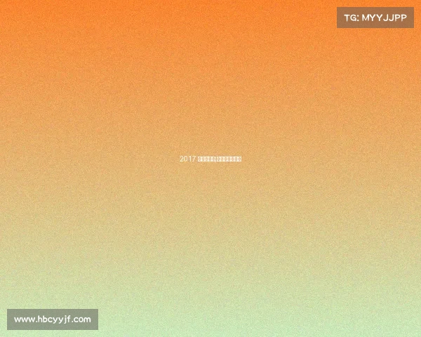 2017 赛事志愿者;大型赛事志愿者