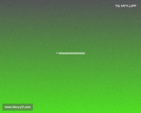 F1一级方程式赛车赛事全面介绍历史规则与技术详解 F1一级方程式赛车赛事全面介绍历史规则与技术详解